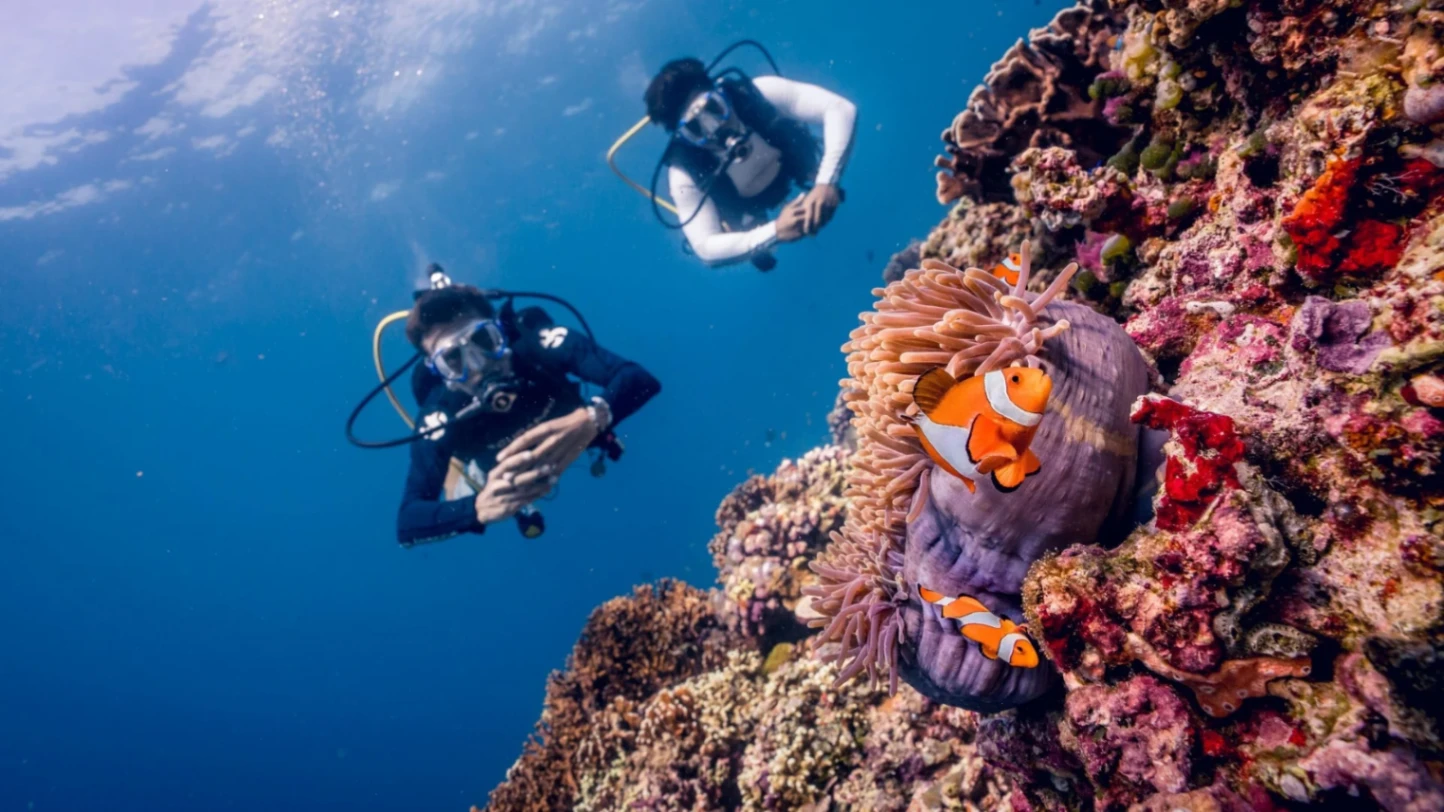Open Water + Advanced with Odysseic Divers on Gili Trawangan
